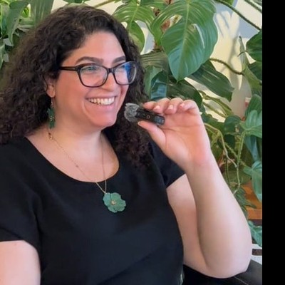 ירדן מנשרי סיני